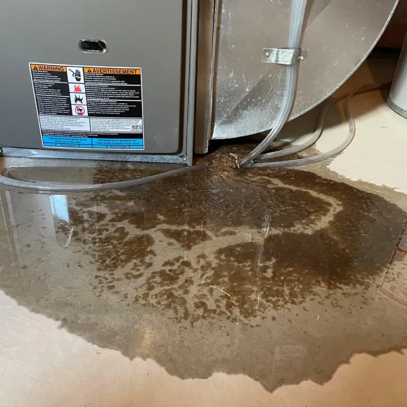 Appliance Leak Cleanup in Ossian, IN