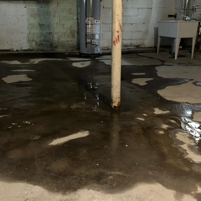 Emergency Water Extraction And Removal in Ossian, IN